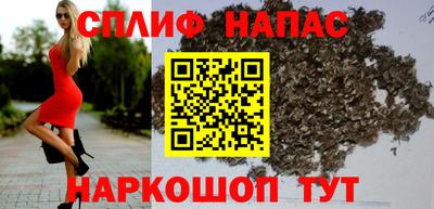 стафф Краснознаменск