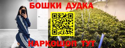 стафф Краснознаменск