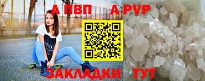 стафф Краснознаменск