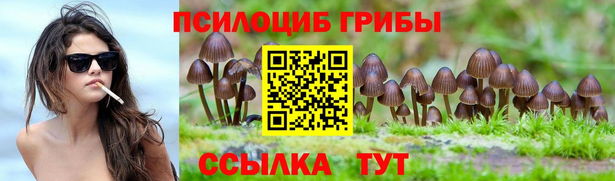 Галлюциногенные грибы мухоморы Жигулёвск